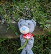 Tatty Teddy