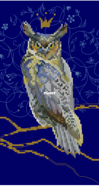 RTO M785 King Eagle Owl