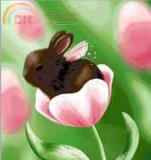 HAED HAEDMED 12344 Gossamer Spring by Melissa Dawn XSD + PCS