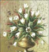 FIORI 214