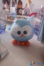 Baby owl