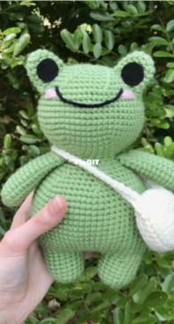 AllieCrochetsCo - Allie - Frog Plushie