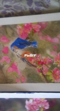 my drawing