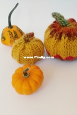 Country Pumpkins by Soraya García-Spanish-Free