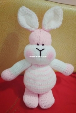 fat rabbit