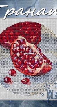 Pomegranate by Ekaterina Gafenko