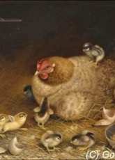 Golden Kite GK 1970 - Hen and 17 Chicks