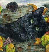 HAED HAEIAG 1257 Hole In The Fence by Irina Garmashova