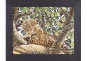 Lanarte 38002 Serengeti Leopard
