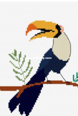 DMC Toucan - English & French - Free
