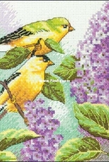 Dimensions 65153 - Goldfinch and Lilacs XSD