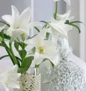 Coats Crafts - Anchor Artiste - Vase Cover
