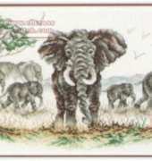 Jeanette Crews Designs - Elephants from Natural Wonders 8106