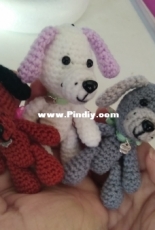 mini perros