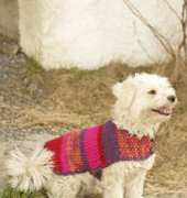 Drops Design 102-40 Dog Sweater - Free