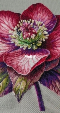 Hellebore. Designer Anastasia Ermakova.