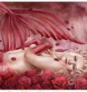 HAESEFMINI 2135 Mini Sea of Roses - Selina Fenech