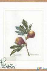 Thea Gouverneur TG 2087 - Figs (Vijgen)