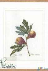 Thea Gouverneur TG 2087 - Figs (Vijgen)