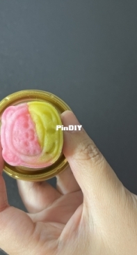 the moon cake