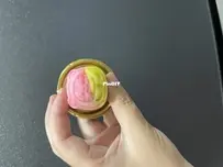 the moon cake