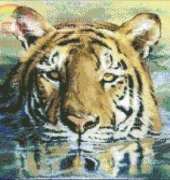 Kustom Krafts JW-021 Water Tiger 1 XSD