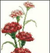 Stitch Corea 05-2009 Carnation XSD