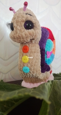 colored snail