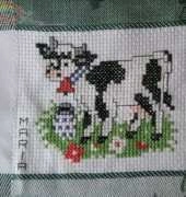 Cow