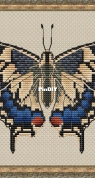 Butterfly Papilio Machaon by Serafima Abramova
