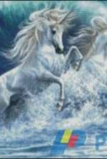 Intricate Cross Stitch - Waves and Unicorns - free