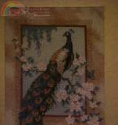 Dimensions Gold Kit - Oriental Peacock