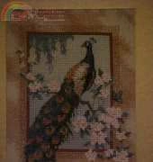 Dimensions Gold Kit - Oriental Peacock