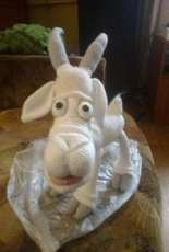 capricorn