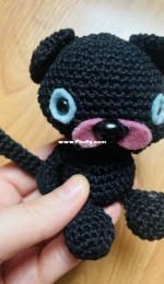 Black cat