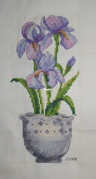 Iris