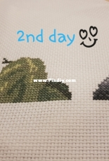New project