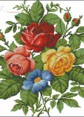 Rogoblen 7.20 - Roses