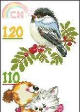 Alisa Animal Club Height Chart pcs
