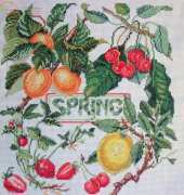 seasons spring