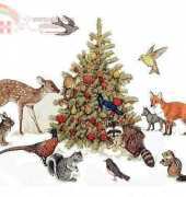 HAE Christmas Animals
