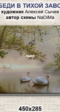 NaDiMa -  200925 - Swans In A Quiet River