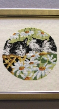 Oehlenschlager Design OOE - 33050 Cats Sleeping XSD-PAT