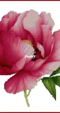 Peony by Vitaliya Mishchuk XSD