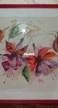 Fuchsia in watercolour (Lanarte)