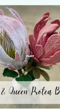 King & Queen Protea by Leticia Lebron