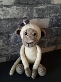 Monkey