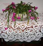 peacock feathers tablecloth
