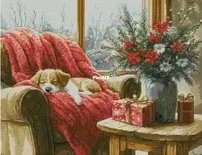 Luca-S B711 Christmas moment XSD