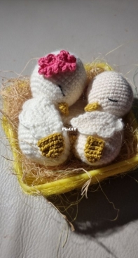chicks